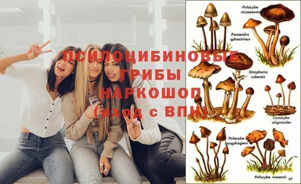 прущая мука Абинск
